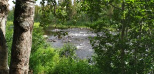 Kaunista joki/koskimaisemaa